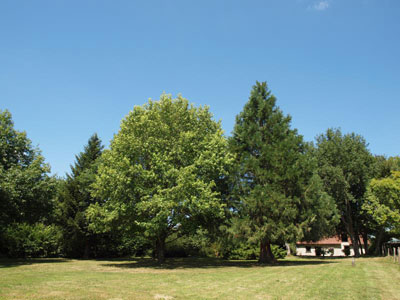 maisonfj090915                                                 