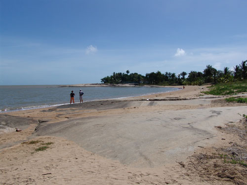 plagek110915                                   