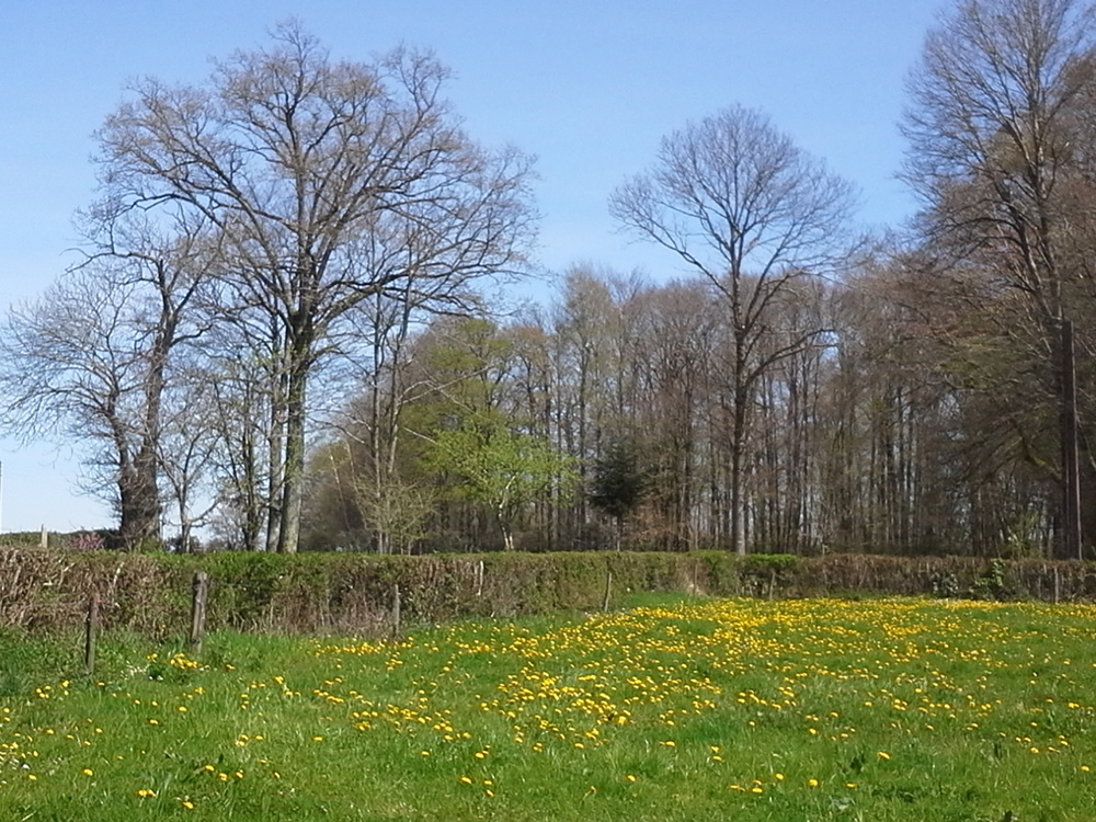 printemps23022016                    