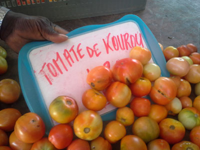 tomates090915                                           